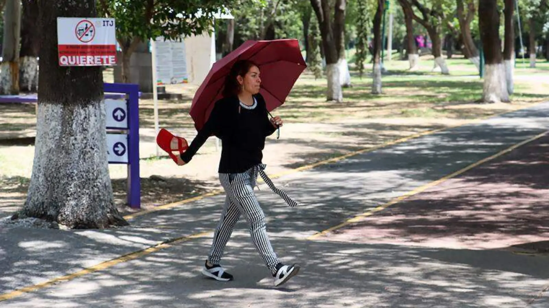 ALTAS TEMPERATURAS 1